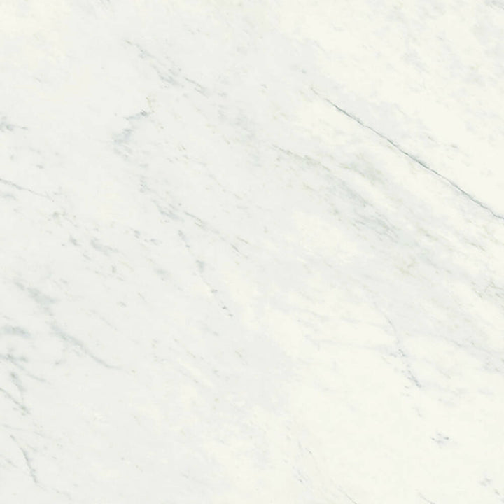PREMIUM WHITE PORCELAIN