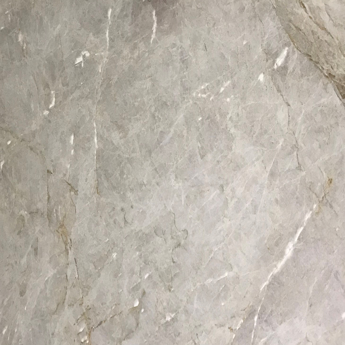 PERLA VENATA POLISHED QUARTZITE,,Levantina,www.work-tops.com